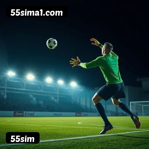 Estatísticas de bônus da 55sim em São Paulo, Rio de Janeiro e Brasília